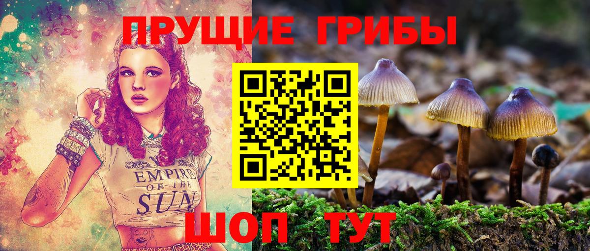 Псилоцибиновые грибы ЛСД Ржев